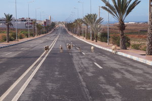 Sidi Ifni Camp 016.JPG