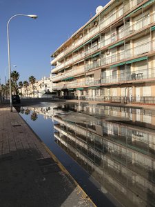 3E1D823C-97B2-4E0A-AE30-76ACA640375D.jpeg 3E1D823C-97B2-4E0A-AE30-76ACA640375D.jpeg