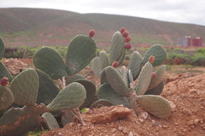 Sidi Ifni stad 007.JPG