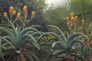 Sidi Ifni stad 022.JPG