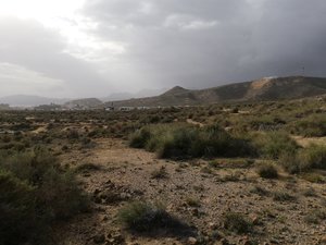 IMG_20200124_152805.jpg