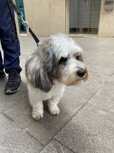 92D59E87-7358-4D6F-8565-3A5124D3FF43.jpeg 92D59E87-7358-4D6F-8565-3A5124D3FF43.jpeg