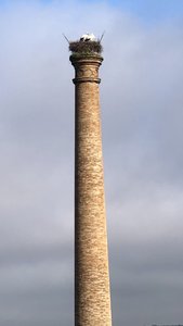 298E58BD-21B0-4CF8-9900-880405863823_1_102_o.jpeg 298E58BD-21B0-4CF8-9900-880405863823_1_102_o.jpeg