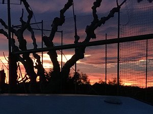 BE1A4256-D2E0-4E57-8448-2D25C25A4771.jpeg BE1A4256-D2E0-4E57-8448-2D25C25A4771.jpeg