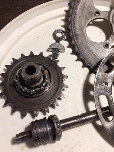 IMG_2370 - kopia.JPG