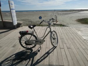 IMG_20200130_141955.jpg IMG_20200130_141955.jpg