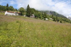 IMG_0460.JPG IMG_0460.JPG