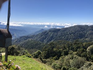 69203A6C-A088-4C12-BA17-62D045D8E1F2.jpeg