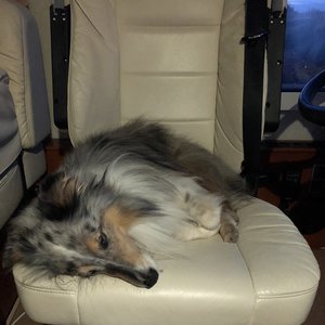 C7EC212F-B90B-4889-8E36-17488F7FA8C4.jpeg C7EC212F-B90B-4889-8E36-17488F7FA8C4.jpeg