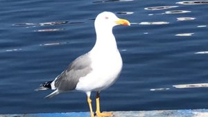 778BC905-B252-43F5-B6D8-DA340922033C.jpeg 778BC905-B252-43F5-B6D8-DA340922033C.jpeg