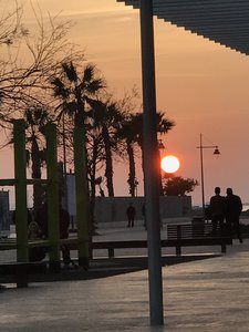 B1BA1266-7D2F-480F-A1B8-3D6F0C0552E3.jpeg