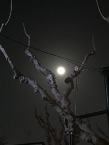 049D84E3-C606-407D-87A9-B3C87DE7D715.jpeg