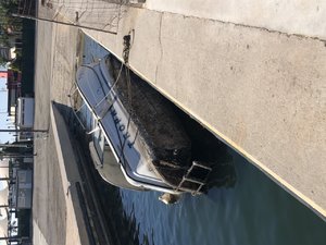 0D3A55EA-7CD8-4E1C-8829-904F403540CA.jpeg 0D3A55EA-7CD8-4E1C-8829-904F403540CA.jpeg