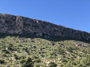 CDD49A75-8BDE-4AAA-B718-D175018A3948.jpeg CDD49A75-8BDE-4AAA-B718-D175018A3948.jpeg