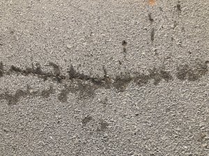 F606E454-41D4-4A4A-8366-9C9368BC91B0.jpeg F606E454-41D4-4A4A-8366-9C9368BC91B0.jpeg