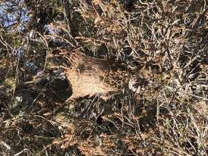 A5CDAE21-B77F-499E-8FEE-26DFB893B544.jpeg A5CDAE21-B77F-499E-8FEE-26DFB893B544.jpeg