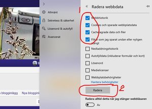 Anteckning 2020-02-12 172135.jpg
