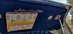 IMG_20191012_142051.jpg IMG_20191012_142051.jpg