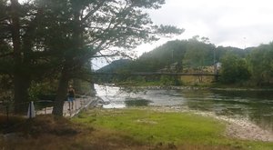 DSC_1234.jpg DSC_1234.jpg