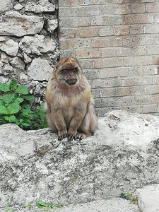 IMG_20200218_103928.jpg