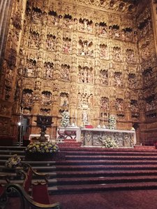 IMG_20200220_144828.jpg