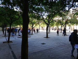 IMG_20200220_144644.jpg