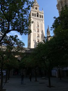 IMG_20200220_145740.jpg