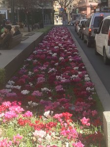 059521F0-3E34-4F5E-A05C-546CDF611098.jpeg 059521F0-3E34-4F5E-A05C-546CDF611098.jpeg