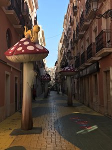 E82B3499-6B20-4D0F-85AB-5DAA95B292C7.jpeg E82B3499-6B20-4D0F-85AB-5DAA95B292C7.jpeg