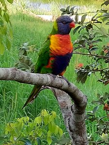 IMG_20200219_174932.jpg