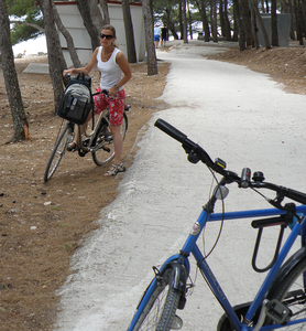 1583141719982.png 1583141719982.png