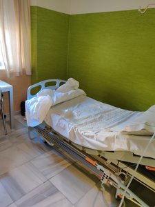IMG_20191108_150534.jpg