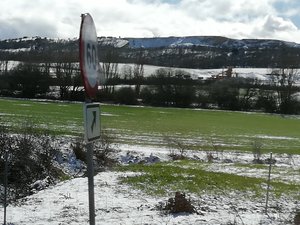 IMG_20200306_122517.jpg