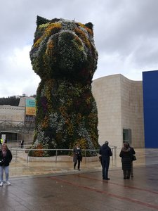 IMG_20200307_112957.jpg