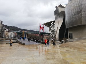 IMG_20200307_112509.jpg