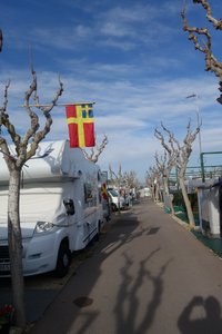 DSC00537 (Medium).JPG