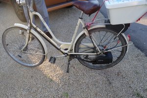 DSC00507 (Medium).JPG