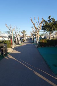 DSC00508 (Medium).JPG