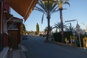 DSC00518 (Medium).JPG