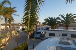 DSC00516 (Medium).JPG