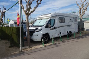 DSC00536 (Medium).JPG