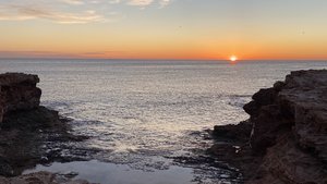 053DAE63-C0A4-4834-A4CE-F1B8AD88F96A.jpeg 053DAE63-C0A4-4834-A4CE-F1B8AD88F96A.jpeg