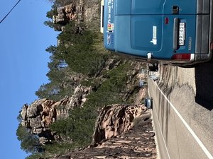 41822C06-0011-4D80-AEA8-9195477AF1BE.jpeg 41822C06-0011-4D80-AEA8-9195477AF1BE.jpeg