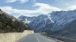 98D9AE24-D29C-43D6-87E8-4197083321E6.jpeg 98D9AE24-D29C-43D6-87E8-4197083321E6.jpeg