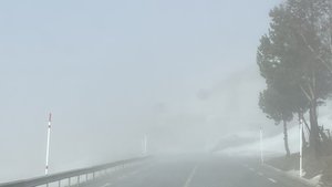 774B4548-A5BA-4E20-951D-C2D8BC4C74AB.jpeg 774B4548-A5BA-4E20-951D-C2D8BC4C74AB.jpeg