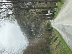 9F295A6F-609B-4916-A3C1-721C4B177D36.jpeg 9F295A6F-609B-4916-A3C1-721C4B177D36.jpeg