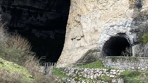 A2BF0A93-98D3-4E71-A86F-35D4280CC448.jpeg A2BF0A93-98D3-4E71-A86F-35D4280CC448.jpeg