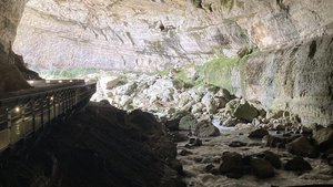 466DE7B6-4E4C-49EB-B8BD-7CD11F55EB03.jpeg 466DE7B6-4E4C-49EB-B8BD-7CD11F55EB03.jpeg