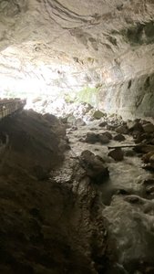 45D4E03D-706B-49D0-89EF-D2C290BA0537.jpeg 45D4E03D-706B-49D0-89EF-D2C290BA0537.jpeg