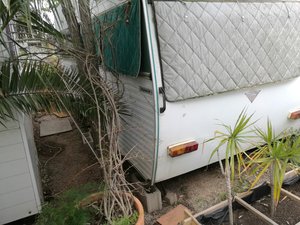 IMG_20200309_095540.jpg IMG_20200309_095540.jpg